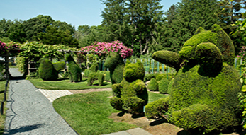 Green Animals Topiary Garden